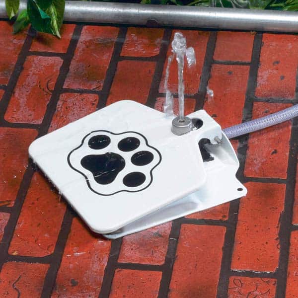 Automatic Pet Dog Water Fountain