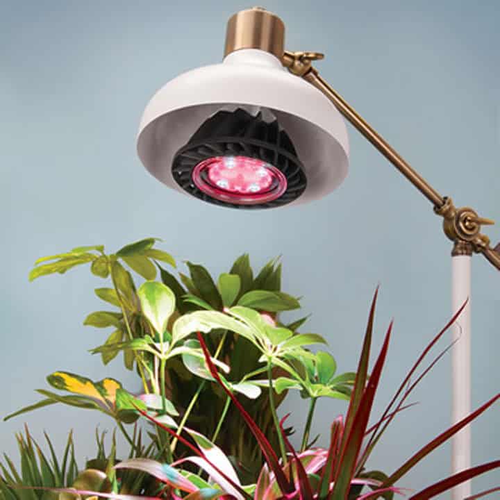 LED-Grow-Light