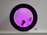 desktop-jellyfish-aquarium