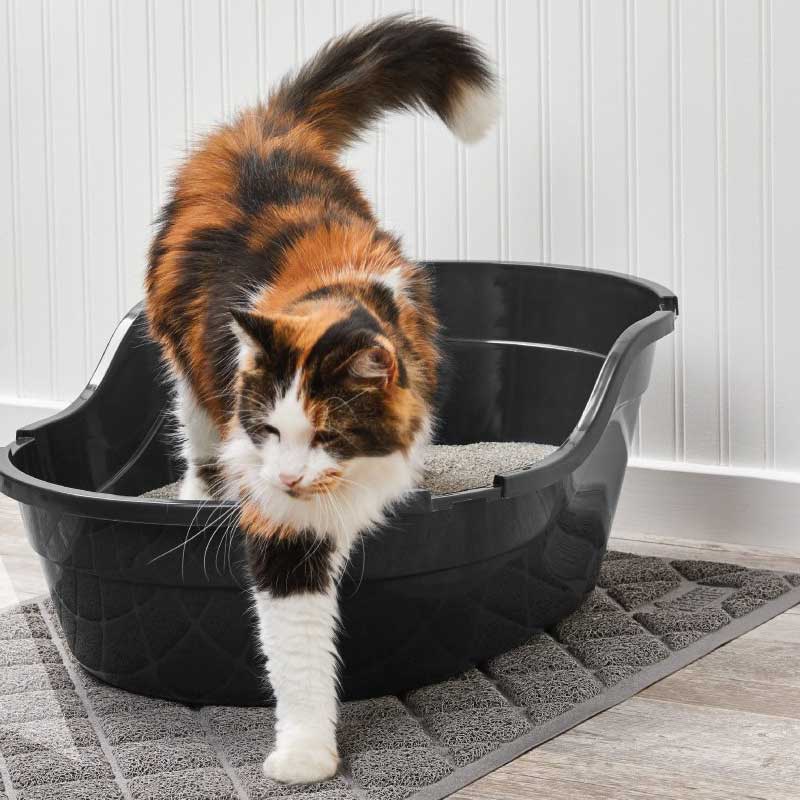 Cat-Litter-Mat