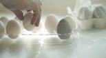 Charcoal-Egg-Refrigerator-Deodorizer