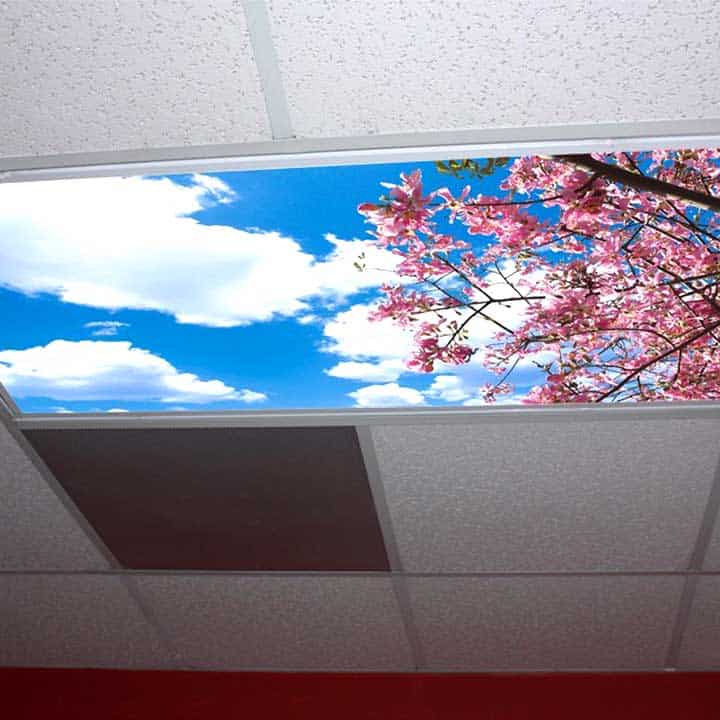 Skypanels ceiling panel