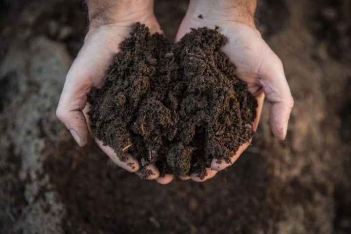 Human Remains Composting