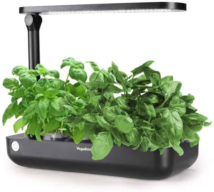 Indoor Hydroponics Growing System