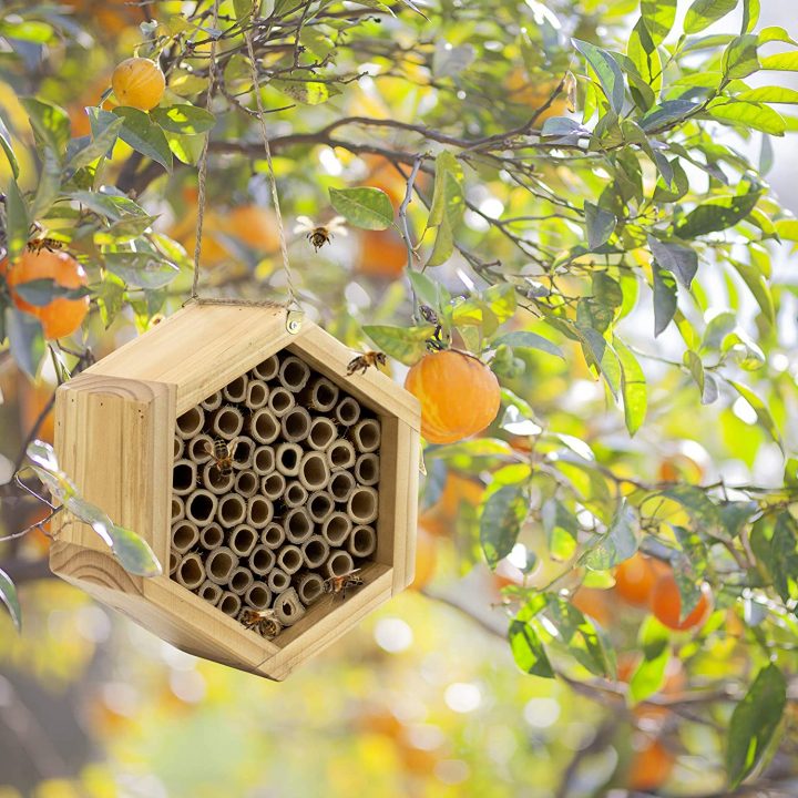 Handmade Bamboo Beehive in Orange Grove