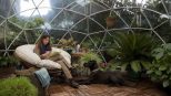 Outdoor Garden Dome Igloo