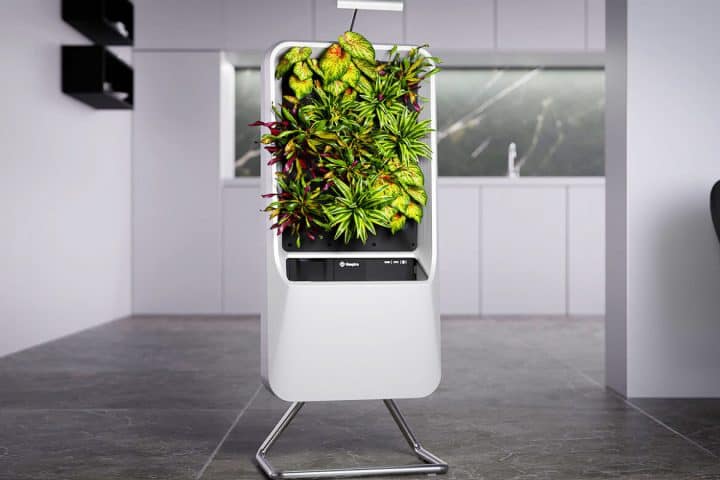 Smart Air-Purifying Garden