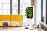 Smart air purifying garden2