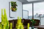 Smart air purifying garden3