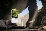 Smart air purifying garden4