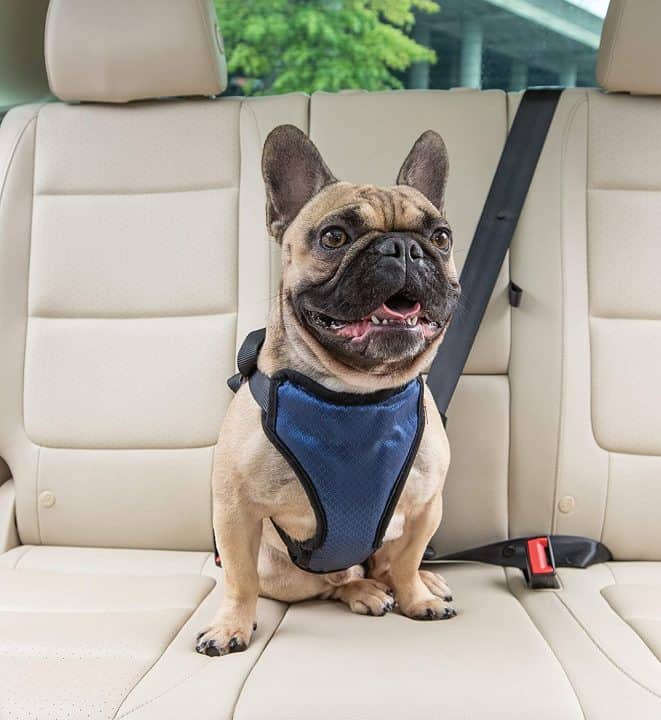 Car Harness for Dogs