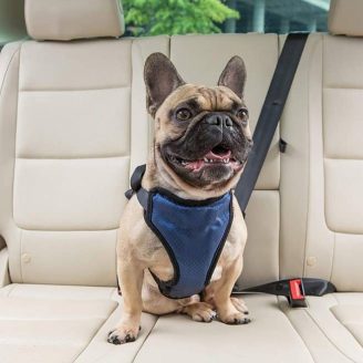 Car Harness for Dogs