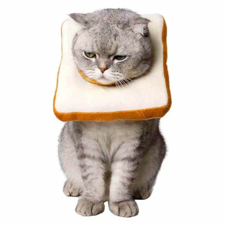 Slice of Bread Cat Collar