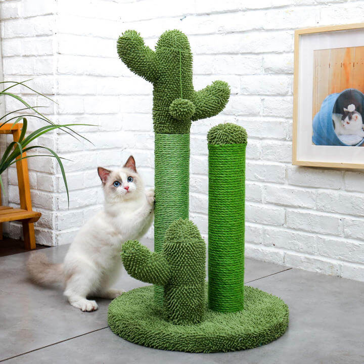 Cactus Cat Scratching Post.jpg