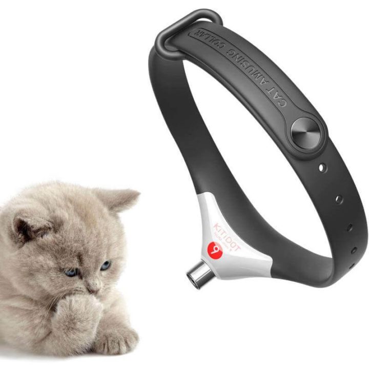 Laser Pointer Cat Collar