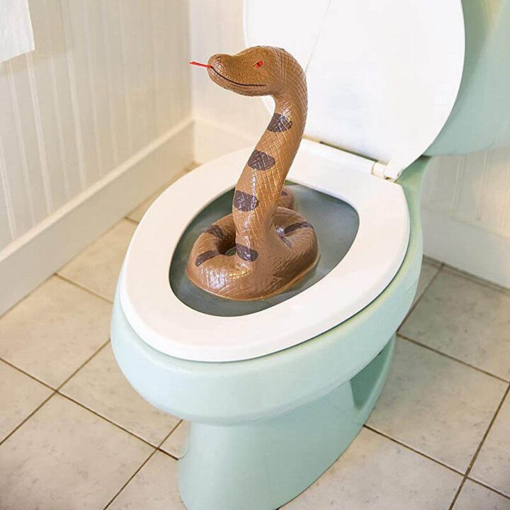 Pop Up Toilet Snake.jpg