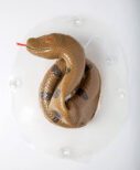 Pop Up Toilet Snake3.jpg