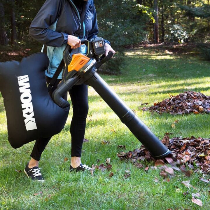 Worx Cordless 3-in-1 Leaf Blower