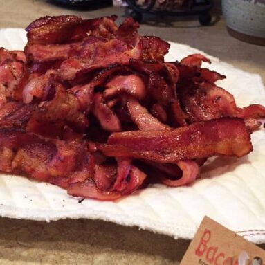 Bacon Grease Sponge