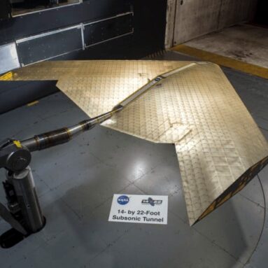 Bird-Like Airplane Wing Concept