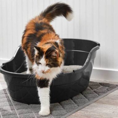 Non-Slip Cat Litter Mat