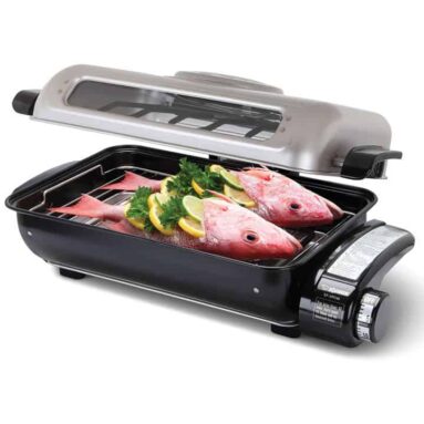 Odor Eliminating Counter Top Fish Roaster