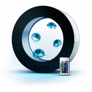 Orbit 20 Desktop Jellyfish Aquarium