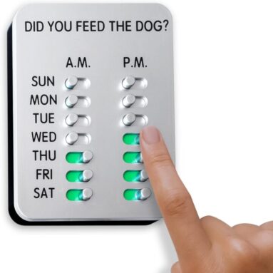 Dog Feeding Reminder