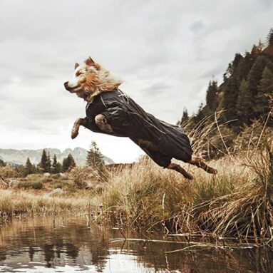 Dog Overall Suit