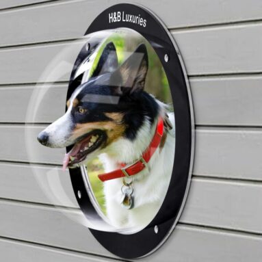Dog Peek Window