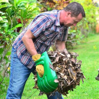 Releaf Ergonomic Handheld Rake