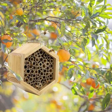 Handmade Bamboo Beehive