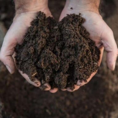 Human Remains Composting
