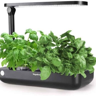 Indoor Hydroponics Growing System