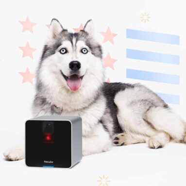 Petcube Interactive Pet Camera