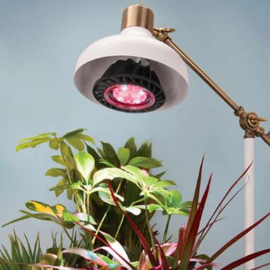LED Grow Light For Indoor Plants