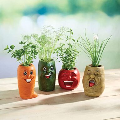 Laughing Veggie Herb Pots