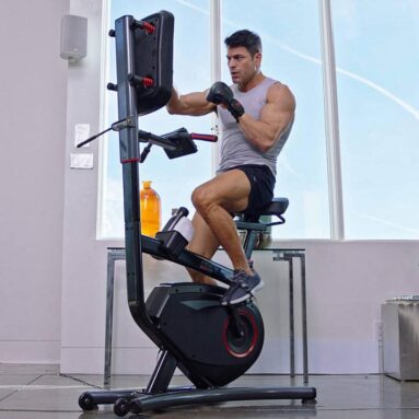 LifeSpan Fitness Cycle Boxer – Exercise Bike with Interactive Boxing Punch Pad