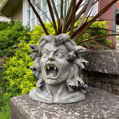 Medusa Head Planter