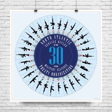 NATO Service Rifles Poster