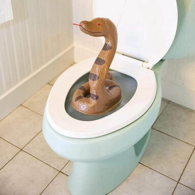 Pop-Up Toilet Snake
