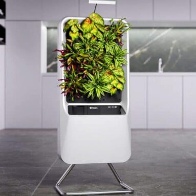 Smart Air-Purifying Garden
