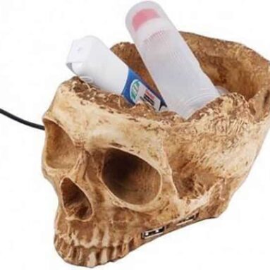 USB Skull Hub