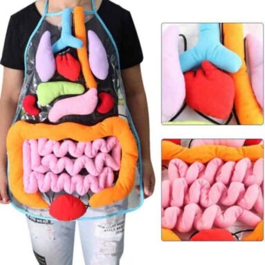 Body Organ Apron Educational Toy