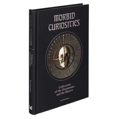 Morbid Curiosities by Paul Gambino
