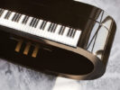 Ravenchord Piano 3
