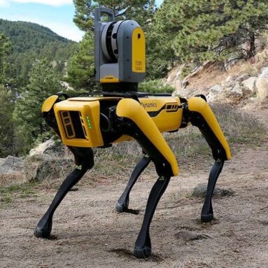 Boston Dynamics Spot Robot