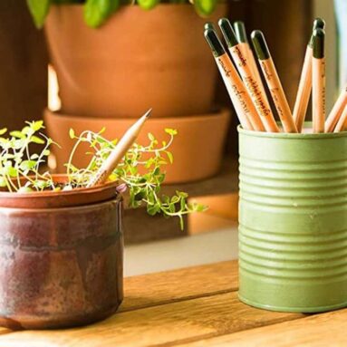 Sprout Pencil