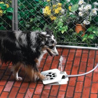 Automatic Pet Dog Water Fountain