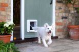 microchip-pet-door